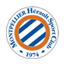 Montpellier badge