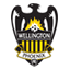 Wellington Phoenix badge