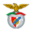 Benfica badge