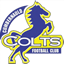 Cumbernauld Colts badge