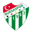Bursaspor badge