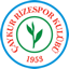 Caykur Rizespor badge