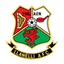 Llanelli badge