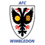 AFC Wimbledon badge