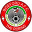 Bideford badge