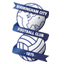 Birmingham City badge