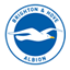 Brighton and Hove Albion badge