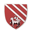 Droylsden badge