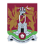 Northampton Town badge