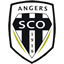 Angers badge