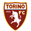 Torino badge