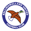 Ballinamallard United badge