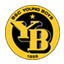 Young Boys badge