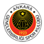 Genclerbirligi badge