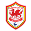 Cardiff City badge