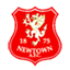 Newtown badge