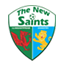 The New Saints badge