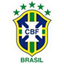 Brazil badge